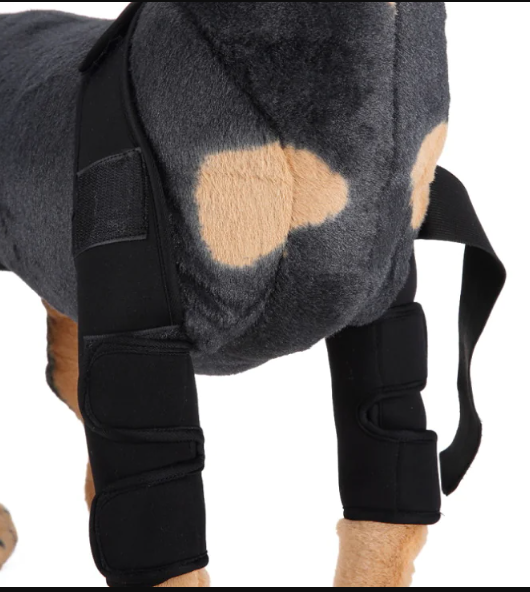 Healing Hound Knee Brace